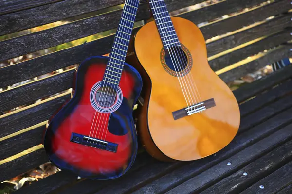 Gitary Akustyczne Pobliżu Drzewa Jesienią Tle Natury — Zdjęcie stockowe