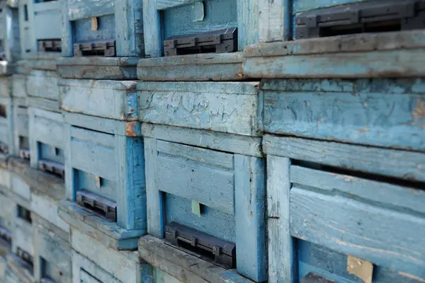 Mavi ahşap sandıklar düzenli olarak dizilmiş.