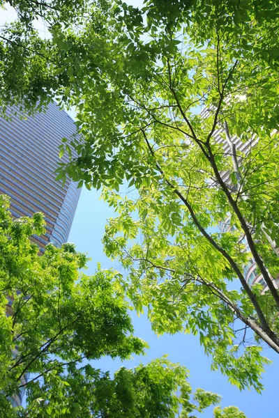 Şehirdeki yüksek binaların ve yeşil ağaçların alçak açılı görüntüsü    