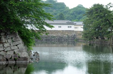 Parktaki Japon şatosu doğa geçmişi üzerine.