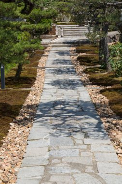 Japon yeşil bahçesinde yol 