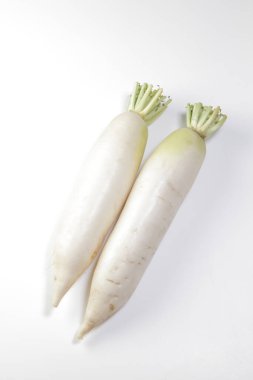 organik beyaz turplar beyaz arkaplanda