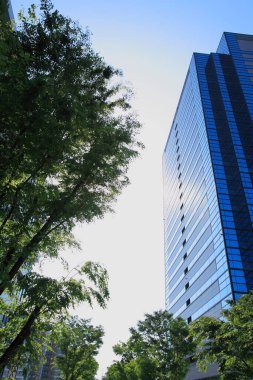 Japon caddesinde yeşil ağaçlı cam bina. 