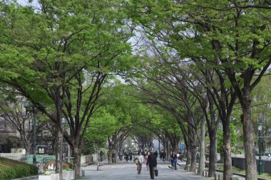 Yürüyen yayalarla dolu Ağaçlarla çevrili Şehir Bulvarı