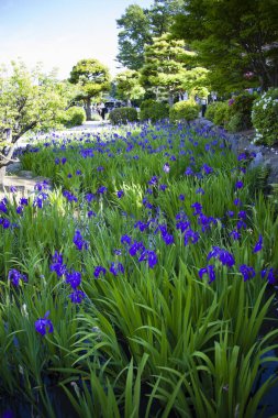 Parktaki Japon bahçesi.