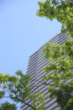 Çağdaş binanın düşük açılı manzarası ve şehirde yeşil ağaçlar             