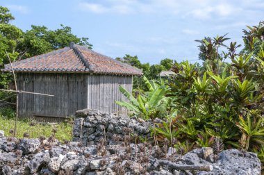 Yeşil ağaçlı eski taş ev