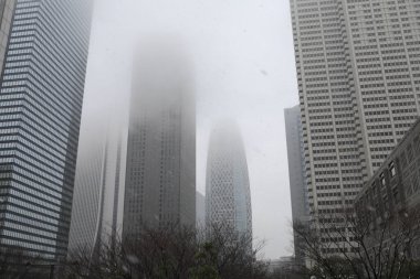 Sabahın erken saatlerinde Shinjuku, Tokyo, Japonya. Gökdelenlerin ve sislerin görüntüsü 