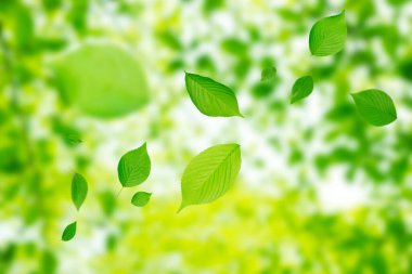 Yeşil yapraklar arka plan. Doğa, ekoloji ve çevre koruma kavramı