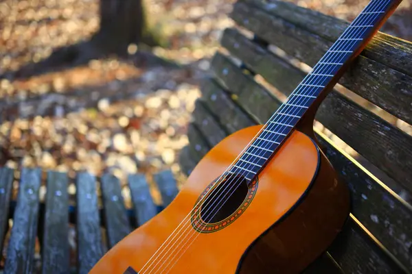 Gitara Akustyczna Jesienią Liście Tle Natury — Zdjęcie stockowe