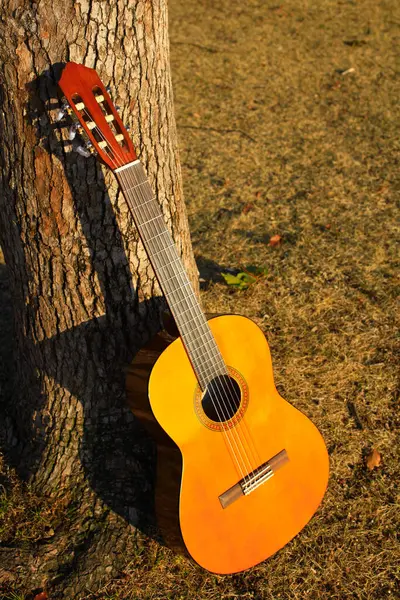 Gitara Akustyczna Jesienią Liście Tle Natury — Zdjęcie stockowe