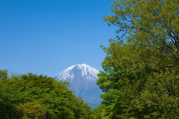 日本の富士山の美しい風景 — ストック写真