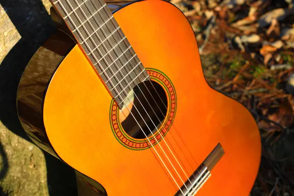 Gitara Akustyczna Jesienią Tle Natury — Zdjęcie stockowe