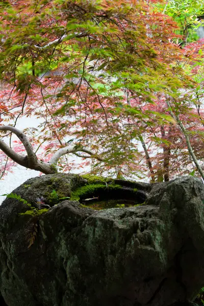 Старый Камень Осеннем Лесу — стоковое фото