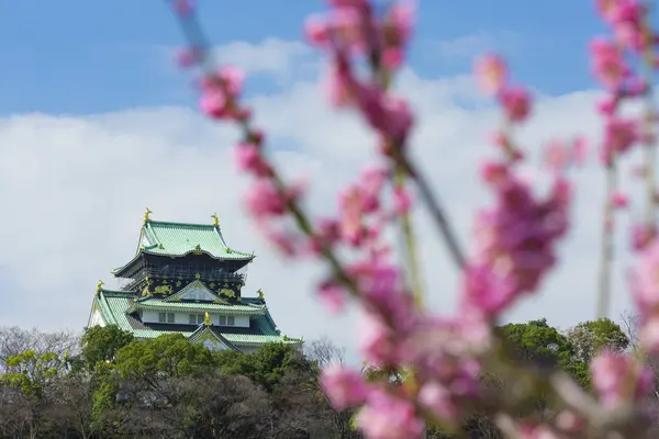 stock image scenic shot of beautiful ancient Japanese noble temple with blossoming sakura on foreground