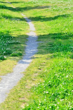 Yeşil çimenlerin arasındaki patika. Yaz Parkı 