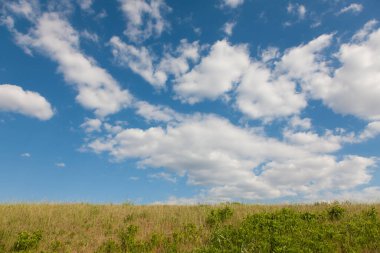 Yeşil çayır ve mavi gökyüzü, doğa manzarası.