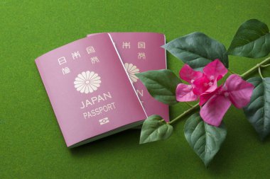 Japon pasaportları ve kırmızı tropikal çiçek, tatil konsepti