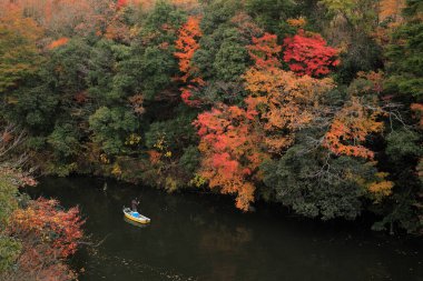Renkli ağaçlar ve göl ile sonbahar manzarası