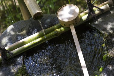 Japon geleneksel Japon bahçesi yazın çeşmeli.