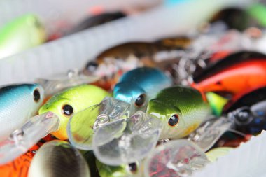 Renkli balık yemi düzgünce sergileniyor.