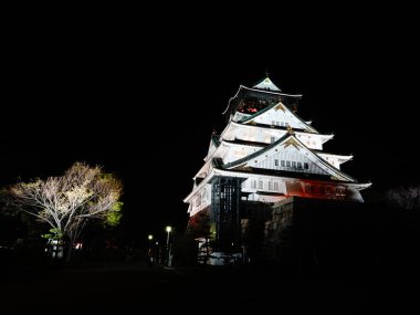 Aydınlatılmış tapınak manzarası, Japonya 'nın güzel mimarisi.