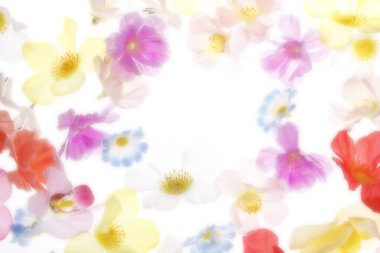 Bulanık çiçekli kusursuz desen