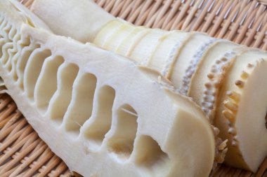 Taze kesilmiş bambu filizi.