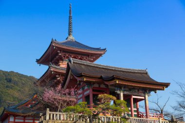 Büyüleyici antik bir Japon tapınağının manzaralı görüntüsü.