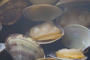 Haşlanmış midye arka planı, kapat