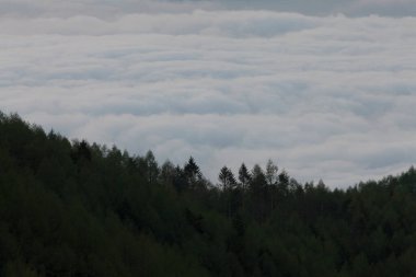 Kış günbatımı manzarası Dağlarda sis ve ağaçlarla