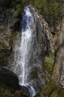 Dağdan Su Düşüyor