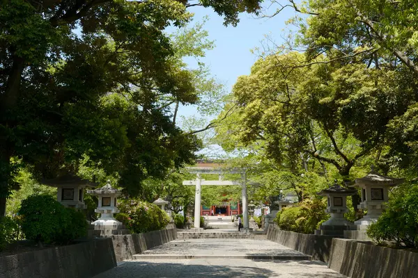 Pintoresca Toma Hermosa Puerta Santuario Japonés Antiguo Parque — Foto de Stock