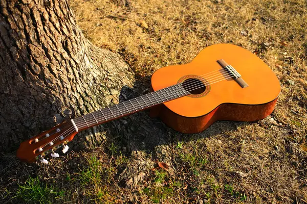 Guitarra Acústica Com Uma Árvore Fundo Madeira — Fotografia de Stock