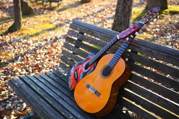 Gitara Akustyczna Jesienią Tle Natury — Zdjęcie stockowe