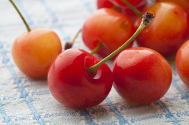 Taze kiraz manzarasını kapat 