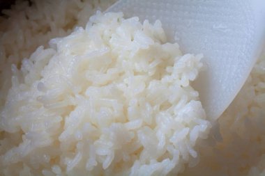 Arkadaki tabakta beyaz pirinç, kapat.