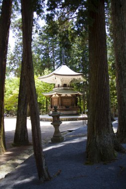 Japonya 'daki Budist manastırı kompleksi Koya-san.