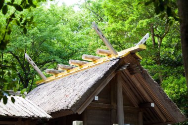 Yeşil orman içinde ahşap ev 