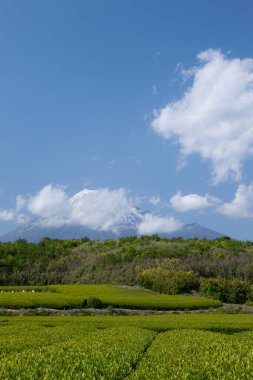 Japonya 'daki Fuji Dağı' nın güzel manzarası
