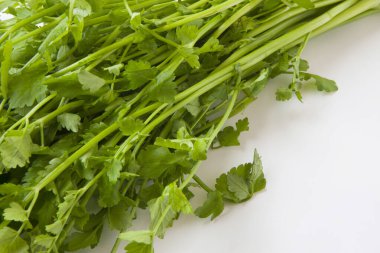 Beyaz arka planda bir demet taze maydanoz.