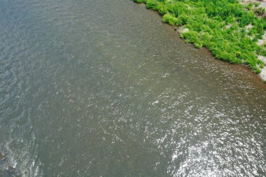 Bir nehrin su yüzeyi ve yazın yeşil çimenler..