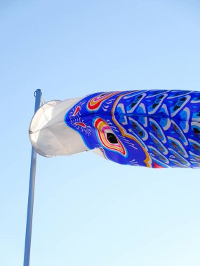 Japon sazan balığı şeklinde yelken açan Koinobori, 5 Mayıs 'taki Çocuk Günü' nü kutlamak üzere Nisan 'dan Mayıs' ın başına kadar Japonya 'da asılı kalır.