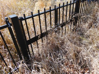 Kuru ot ve otlarla çevrili siyah çitler.