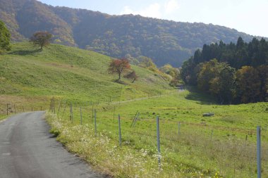Dağlardan ve ormandan geçen köy yolu.   