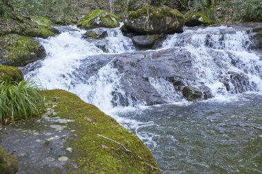 Dağlarda manzaralı akıntılı güzel bir manzara.    