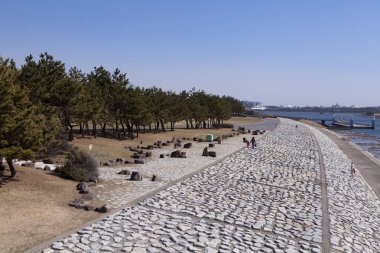 Tokyo, Japonya 'daki Kasai Sahil Parkı Batı Sahili