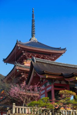 dini tapınak inşaatı, geleneksel Asya kültürü konsepti