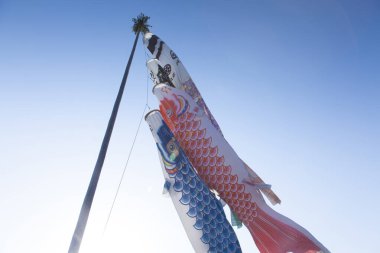 Hava Balık Rüzgarlığı Gökyüzünde, Japonya