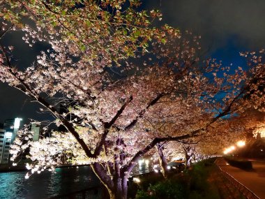 Şehrin güzel gece manzarası
